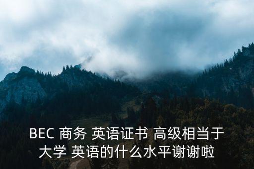 BEC 商務 英語證書 高級相當于大學 英語的什么水平謝謝啦