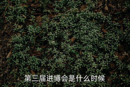 第三屆進博會是什么時候
