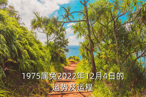 屬兔人今日財運,屬兔人今年運勢好做事要守法不要貪心
