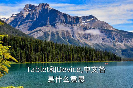 decive,一個爆炸裝置留在容器里