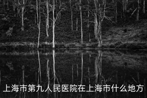 上海人民九院，上海第九人民醫院地址