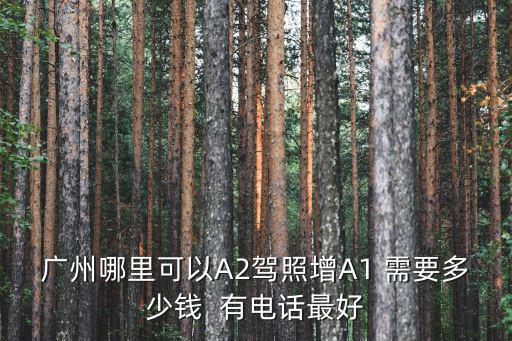廣州哪里可以A2駕照增A1 需要多少錢  有電話最好