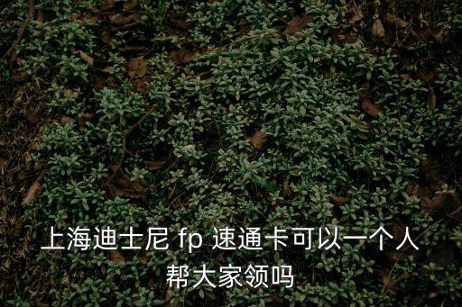 上海迪士尼 fp 速通卡可以一個(gè)人幫大家領(lǐng)嗎