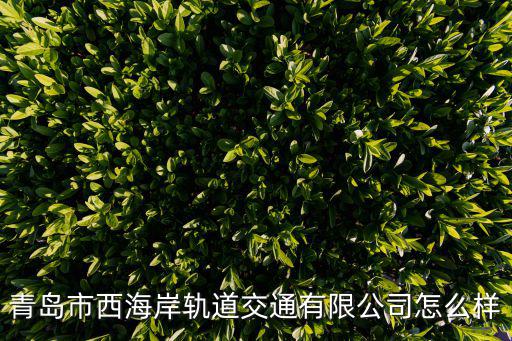青島市西海岸軌道交通有限公司怎么樣