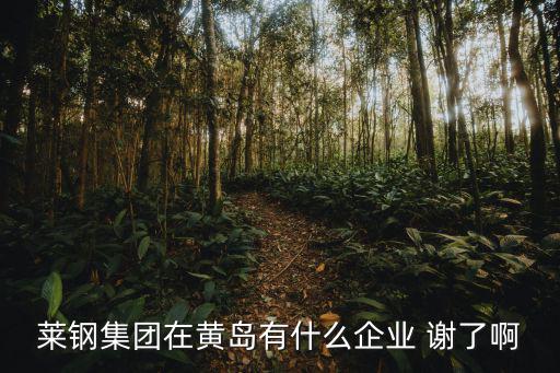 萊鋼集團在黃島有什么企業 謝了啊