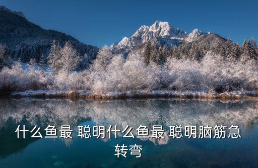 什么魚最 聰明什么魚最 聰明腦筋急轉(zhuǎn)彎