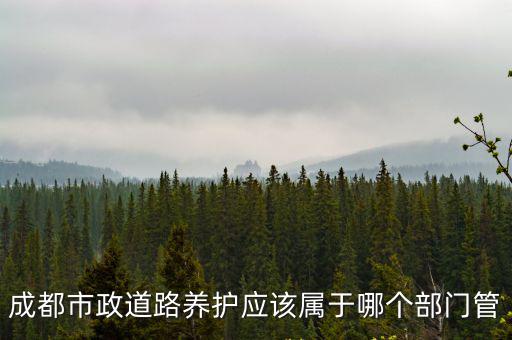 成都市政道路養護應該屬于哪個部門管