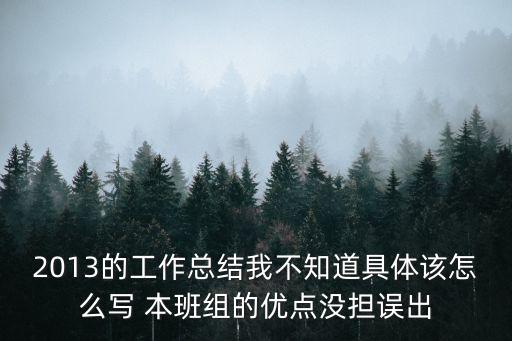 2013的工作總結(jié)我不知道具體該怎么寫 本班組的優(yōu)點沒擔(dān)誤出