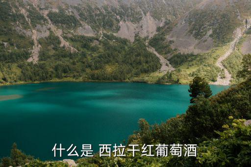 什么是 西拉干紅葡萄酒