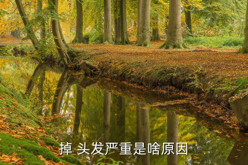 掉 頭發嚴重是啥原因