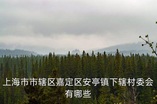 上海市嘉定安亭黃渡星塔村村委會，安亭鎮的行政區劃