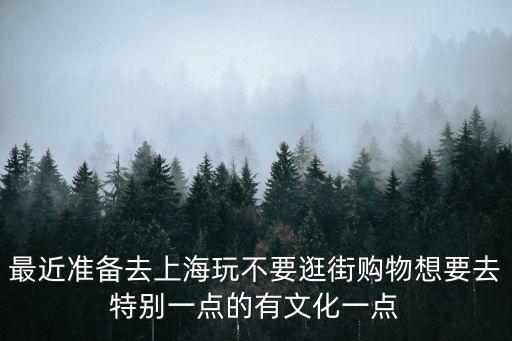 最近準備去上海玩不要逛街購物想要去特別一點的有文化一點