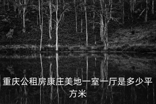 重慶公租房康莊美地一室一廳是多少平方米