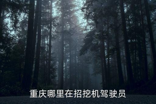重慶哪里在招挖機駕駛員