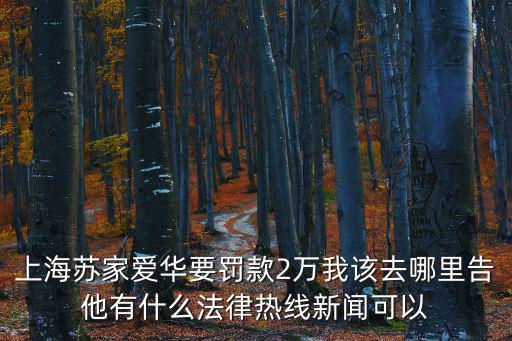 上海蘇家愛(ài)華要罰款2萬(wàn)我該去哪里告他有什么法律熱線新聞可以