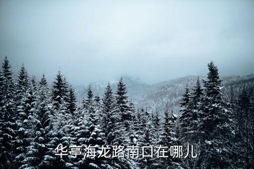 華亭海龍路南口在哪兒