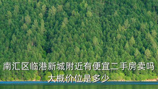 南匯區臨港新城附近有便宜二手房賣嗎大概價位是多少