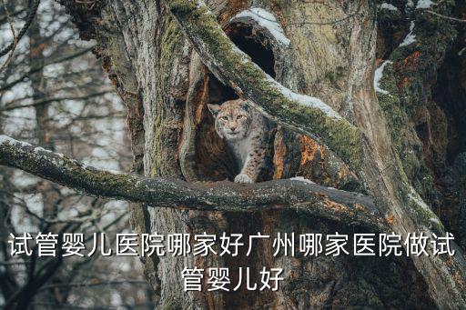 試管嬰兒醫院哪家好廣州哪家醫院做試管嬰兒好