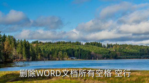  刪除WORD文檔所有空格 空行