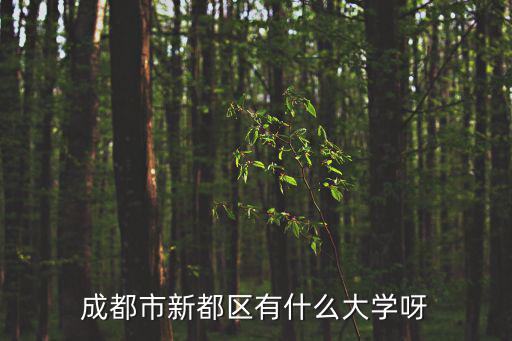 成都市新都區(qū)有什么大學(xué)呀