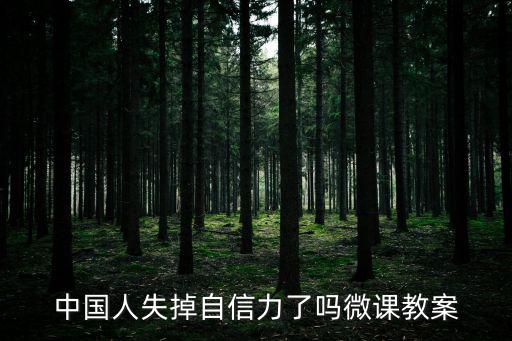中國人失掉自信力了嗎教案，中國人失掉自信力了嗎微課教案