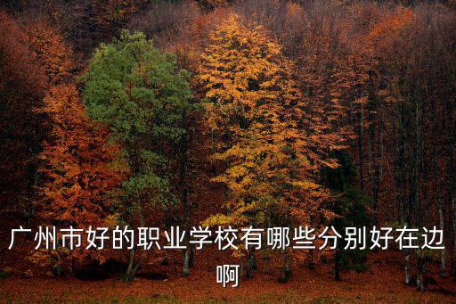 廣州市好的職業學校有哪些分別好在邊啊