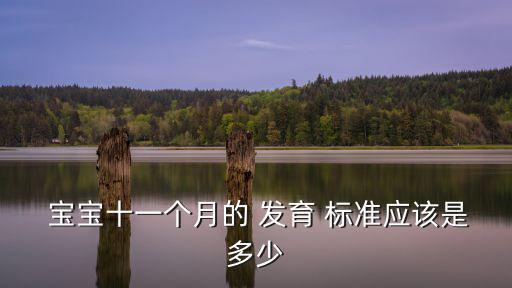 10個月寶寶發育標準,一歲寶寶發育標準:三個月大小不一