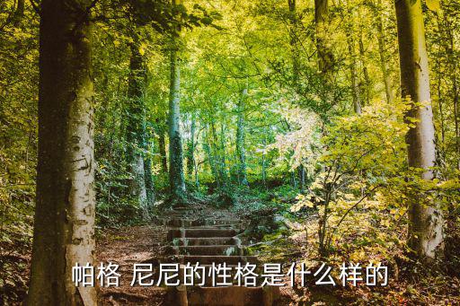 帕克尼尼,意大利小提琴大師帕格尼尼的兒子是誰?
