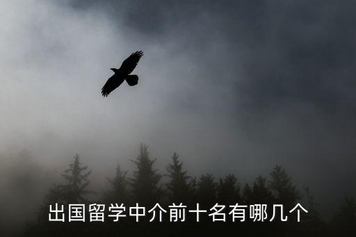 出國留學(xué)中介前十名有哪幾個(gè)