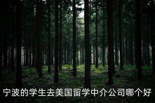 寧波的學生去美國留學中介公司哪個好
