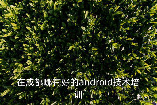 在成都哪有好的android技術培訓