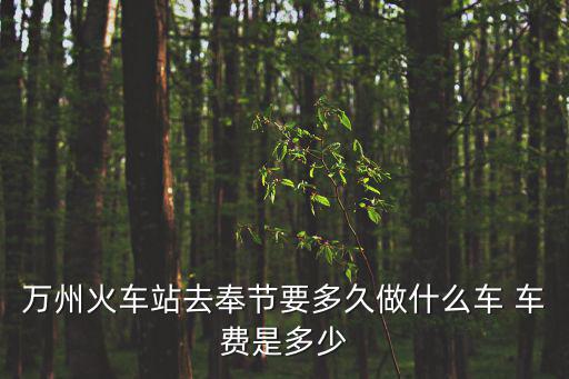 萬州火車站去奉節要多久做什么車 車費是多少