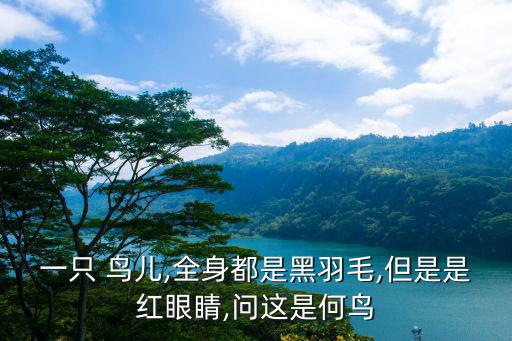 鳥兒圖片大全,鳥類分為三個目包括擅長行走不會飛的鴕鳥