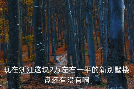 現(xiàn)在浙江這塊2萬左右一平的新別墅樓盤還有沒有啊