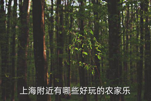 上海周邊游推薦三日游農家樂，上海周邊三日游推薦