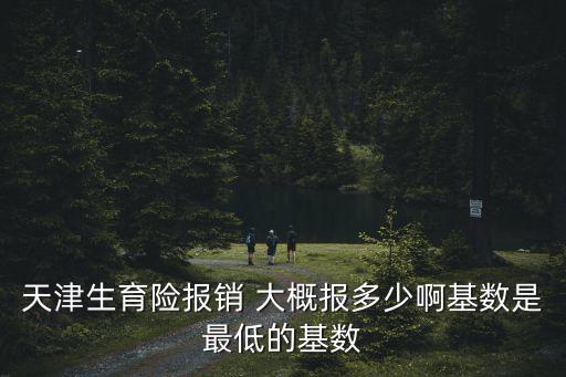 天津生育險報銷 大概報多少啊基數(shù)是最低的基數(shù)