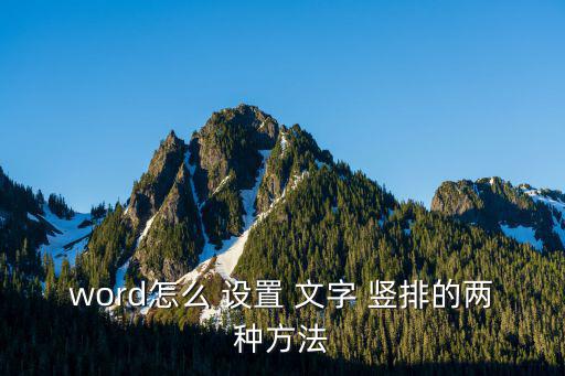 word怎么 設(shè)置 文字 豎排的兩種方法