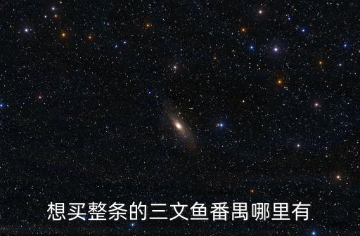 想買整條的三文魚番禺哪里有