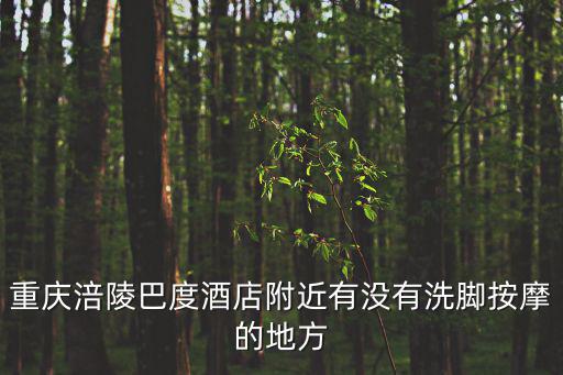重慶涪陵巴度酒店附近有沒有洗腳按摩的地方
