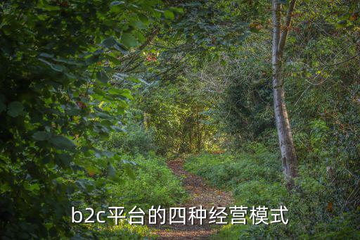 b2c平臺的四種經營模式