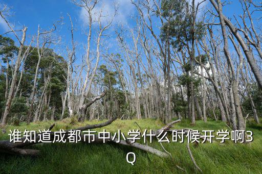 誰知道成都市中小學什么時候開學啊3Q