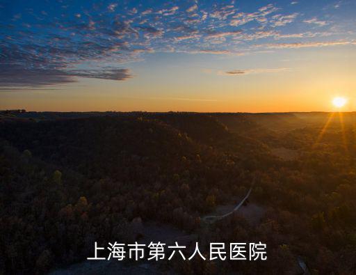 上海市第六人民醫院