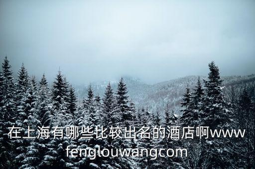 在上海有哪些比較出名的酒店啊wwwfenglouwangcom