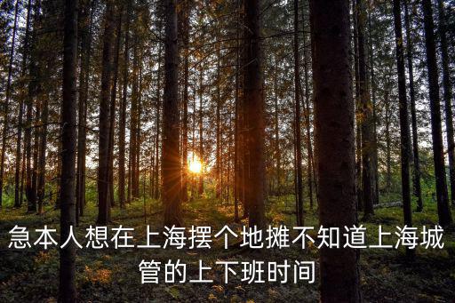 上海市政府上下班時間，急本人想在上海擺個地攤不知道上海城管的上下班時間
