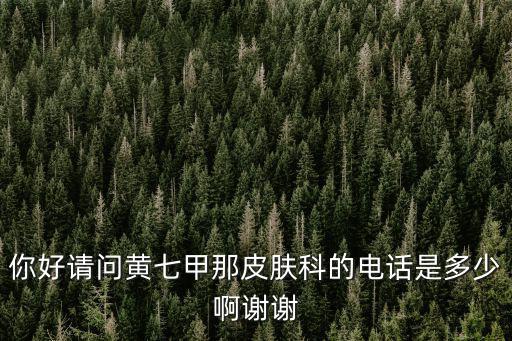 你好請(qǐng)問(wèn)黃七甲那皮膚科的電話是多少啊謝謝