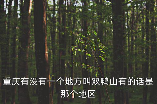 重慶市委岳，四川省委書記官大還是重慶市委書記官大