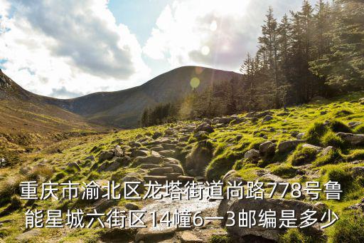 重慶市渝北區龍塔街道尚路778號魯能星城六街區14幢6一3郵編是多少