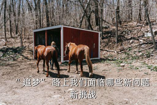 “ 追夢” 路上我們面臨哪些新問題、新挑戰