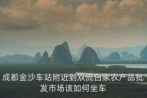 成都金沙車站附近到雙流白家農(nóng)產(chǎn)品批發(fā)市場該如何坐車