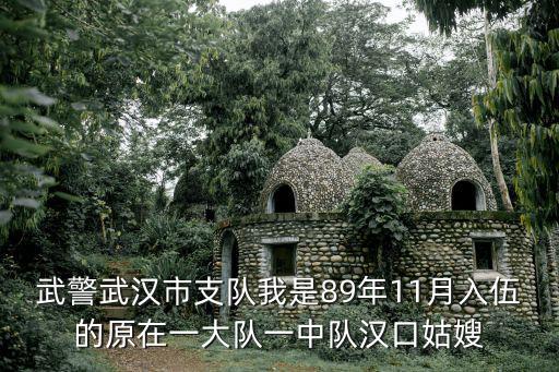 武警武漢市支隊我是89年11月入伍的原在一大隊一中隊漢口姑嫂